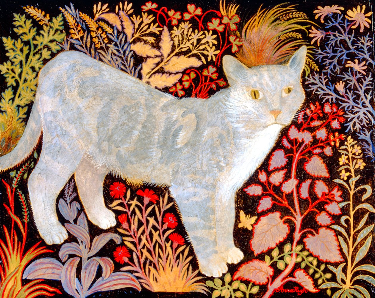 Sølvtabby av Anna Pugh