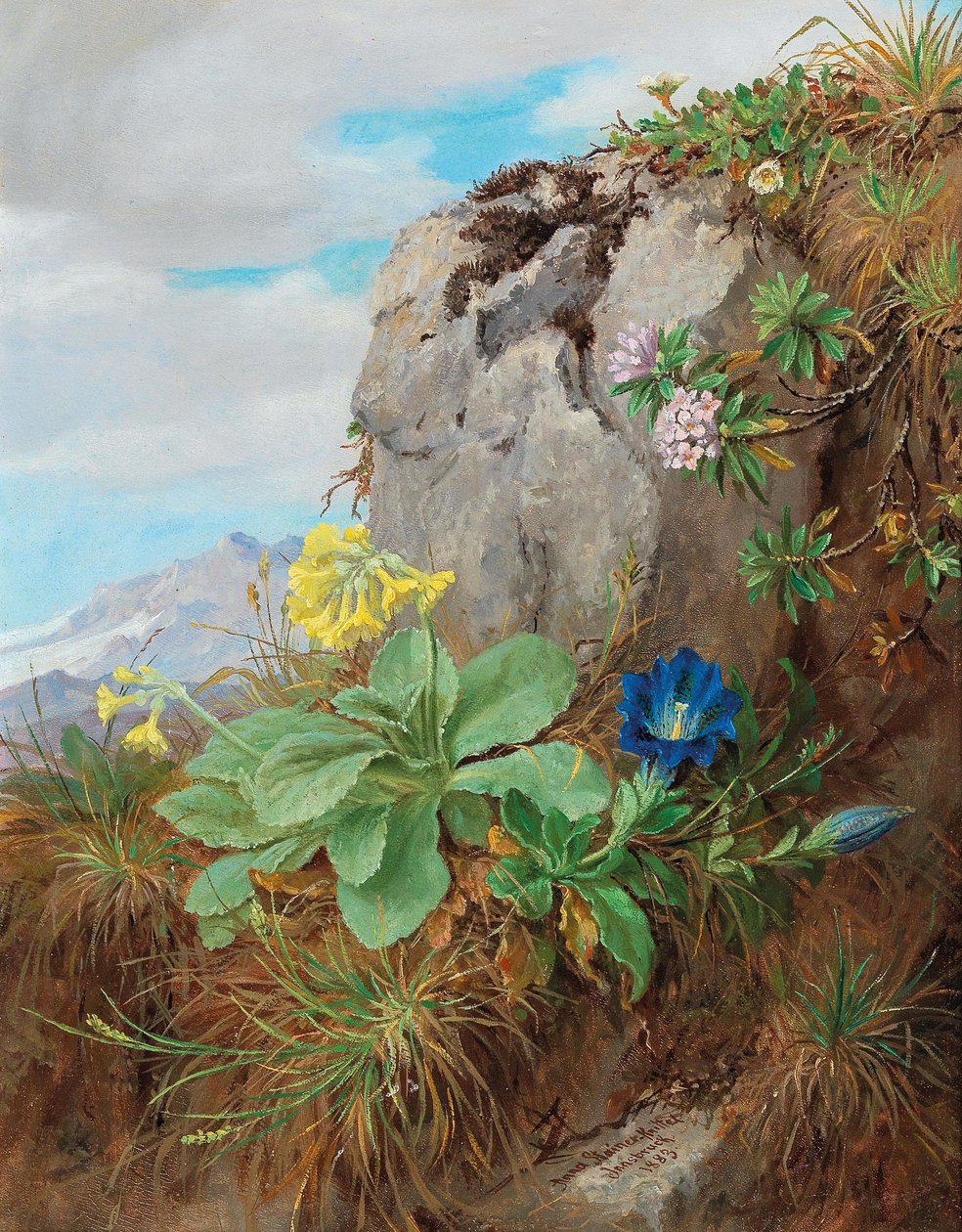  av Anna Stainer Knittel