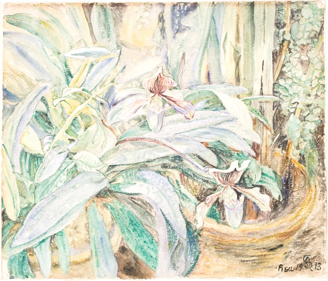 Orkideer, Botanisk hage, Pisa av Anna Syberg