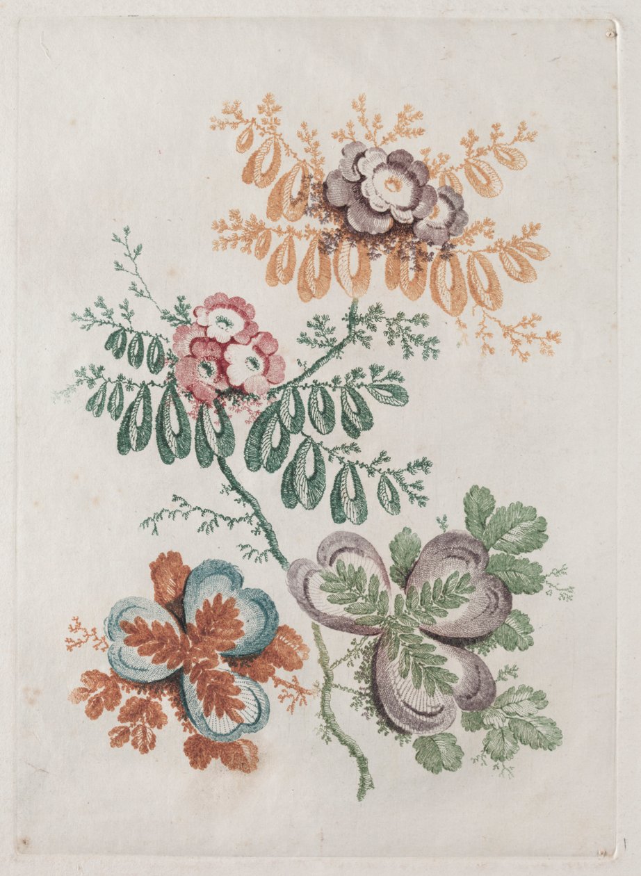 Ny pakke med porteføljer av blomster Ideell å bruke for design og maling: blomsterfantasier av Anne Allen