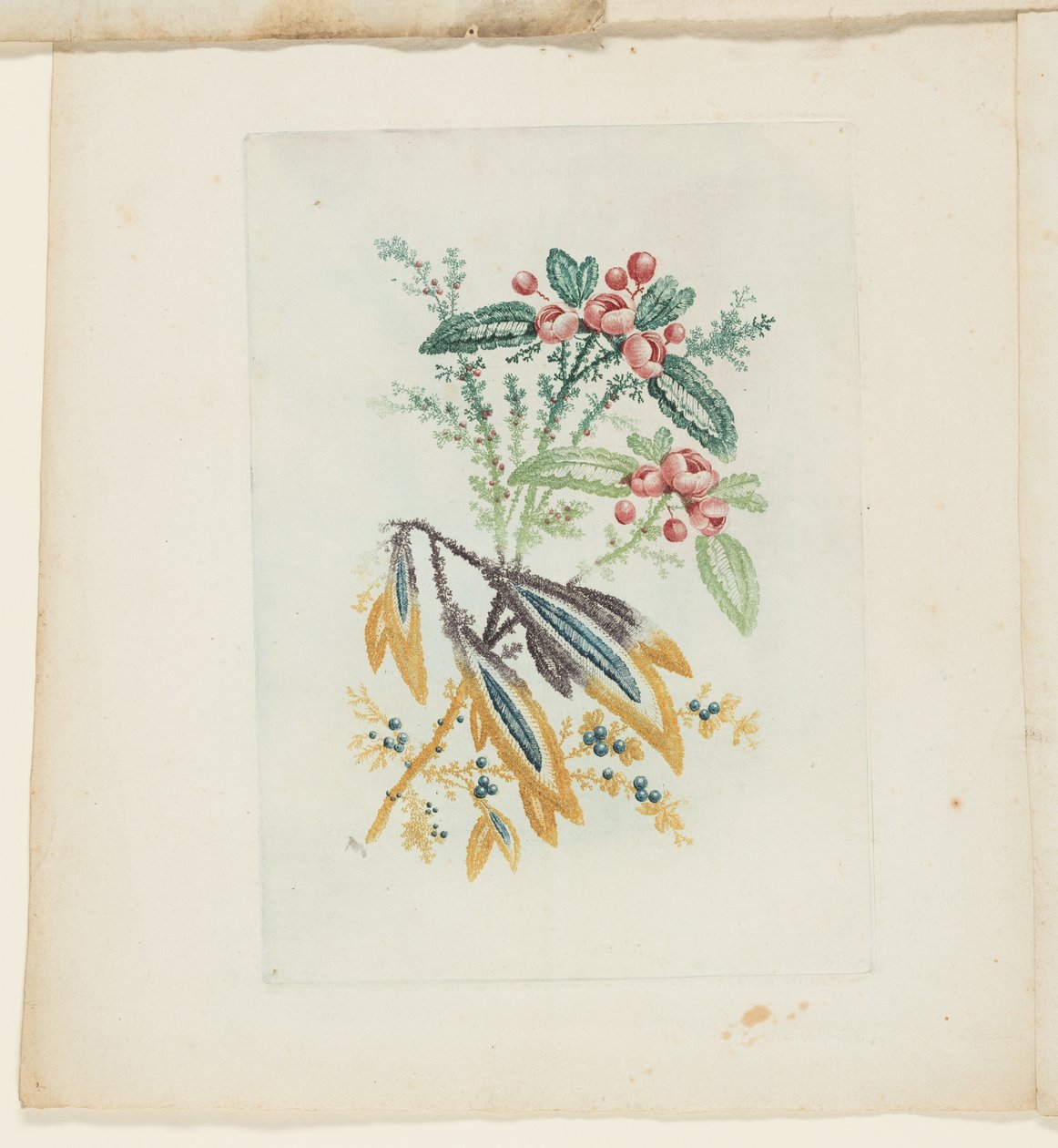 Plate, fra New Suite of Notebooks of Ideal Flowers for bruk av tegnere og malere av Anne Allen