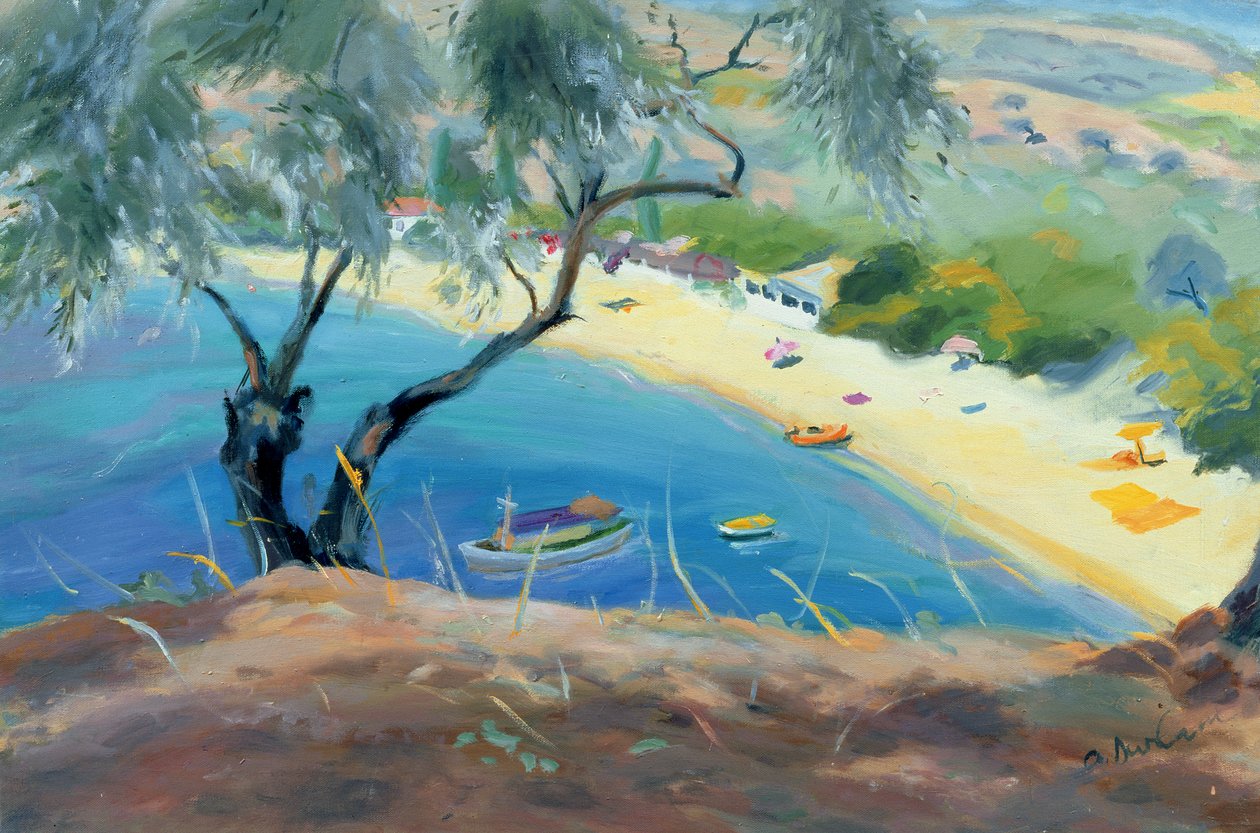 Achladies Bay, Skiathos, Hellas, 1985 av Anne Durham