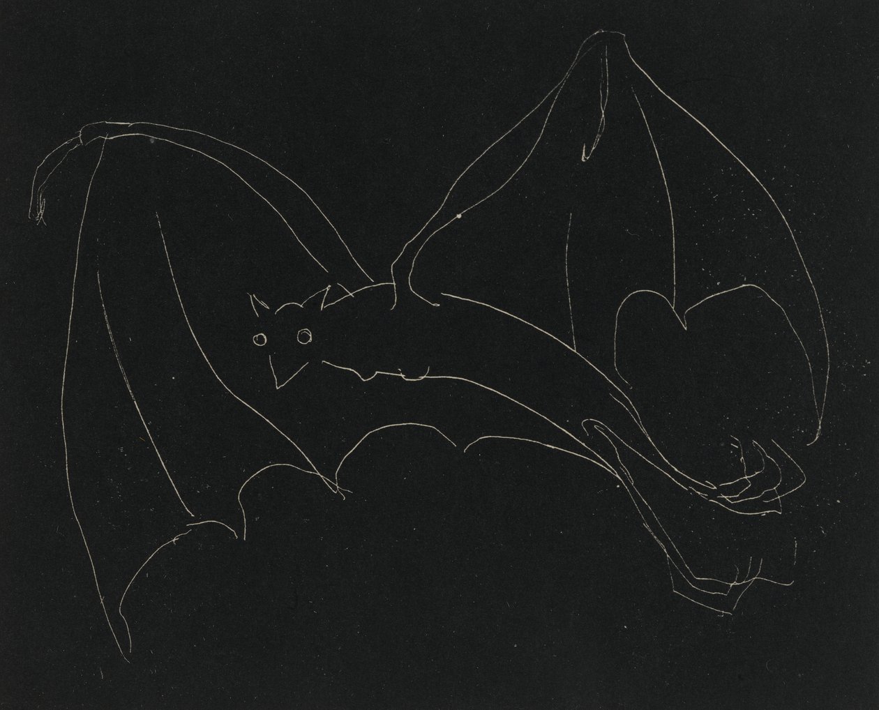 Night Series: The Bat (etsing, hvit linje på vevd papir) av Anne Goldthwaite