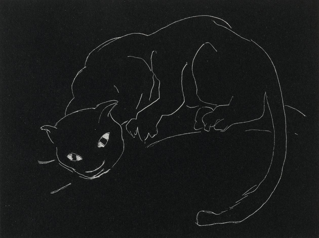 Night Series: The Cat (litho, hvit linje på vevd papir) av Anne Goldthwaite