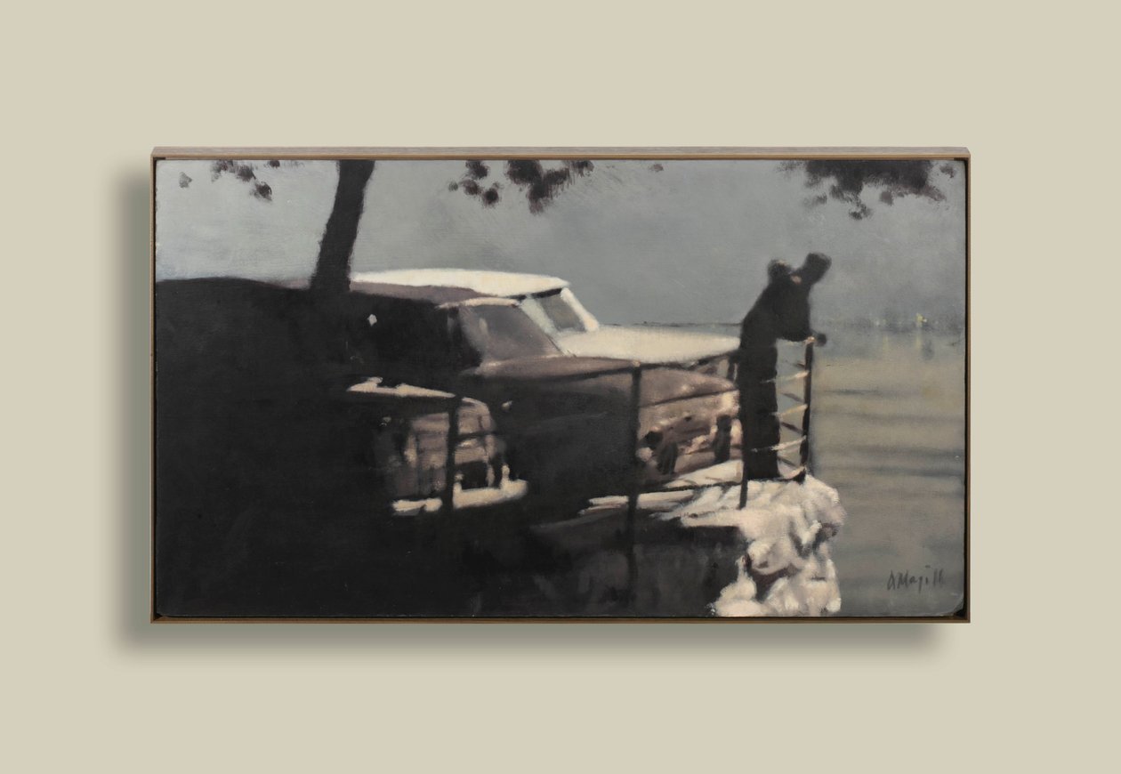  av Anne Magill