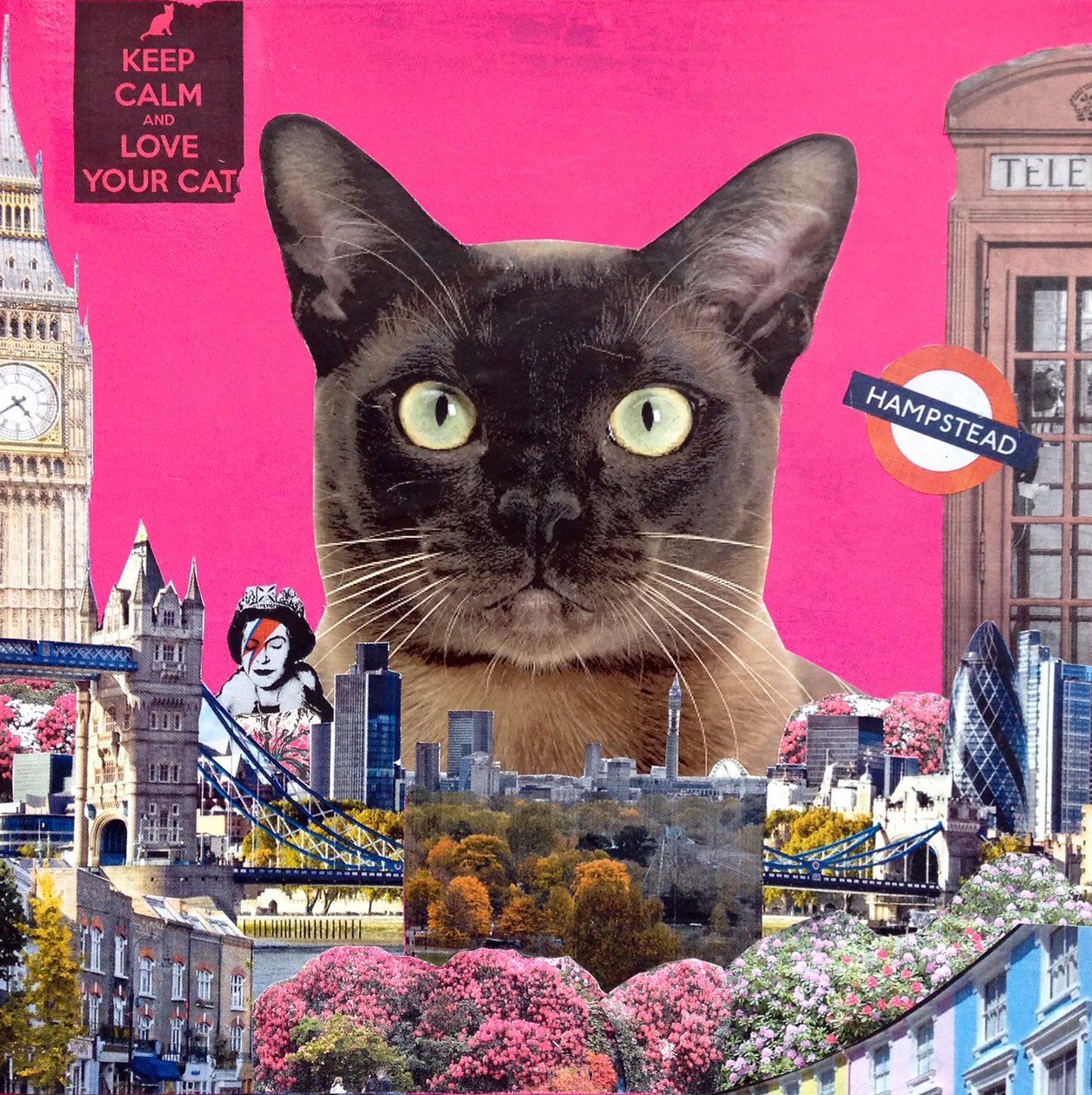 Bykatt, 2015 av Anne Storno