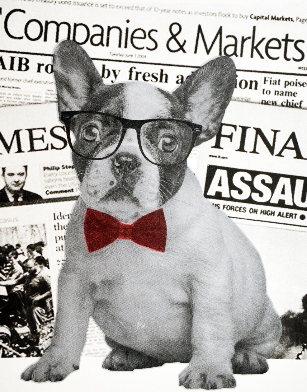 Wall street hund, 2015 av Anne Storno