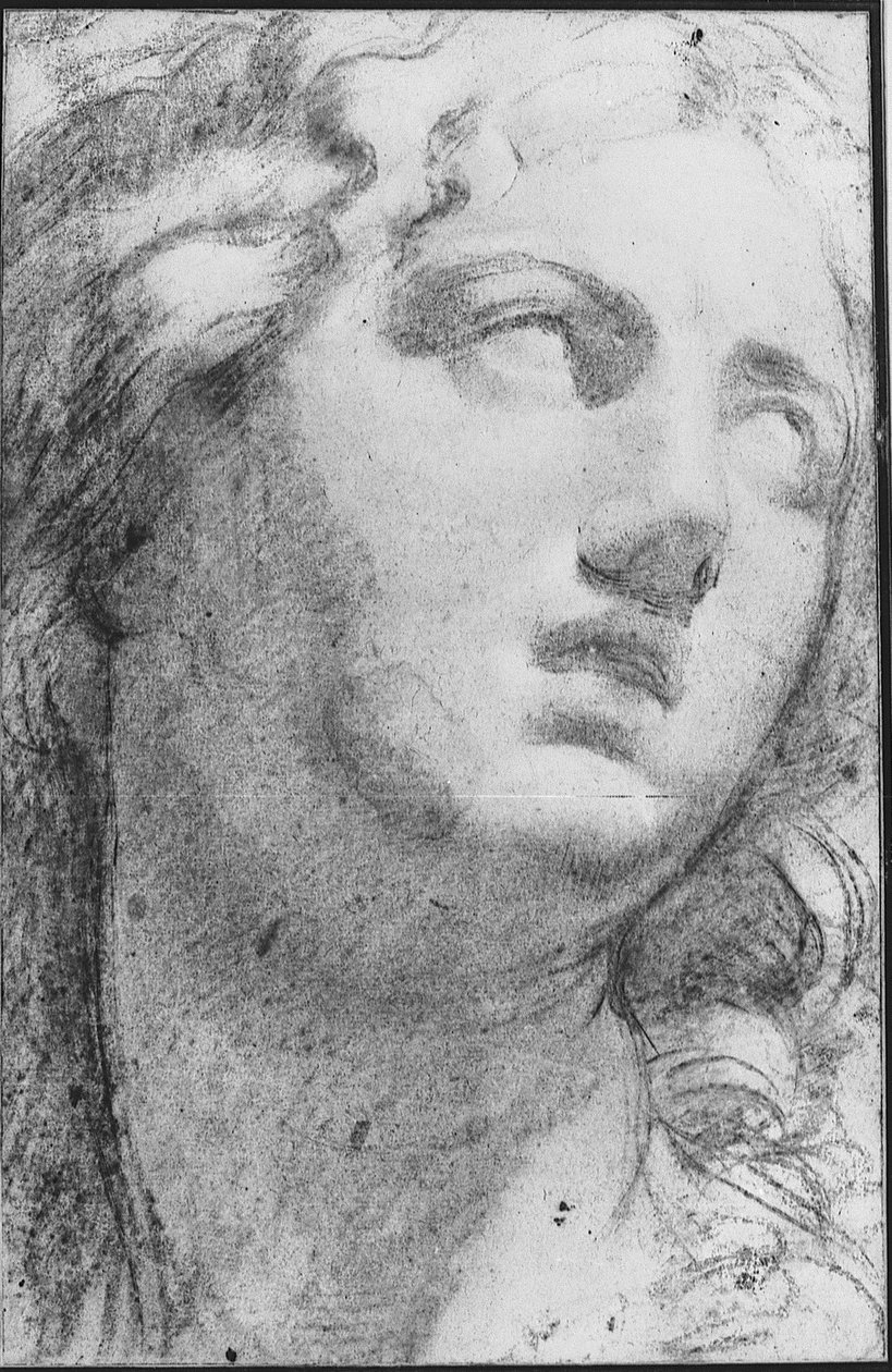 Niobe av Annibale Carracci