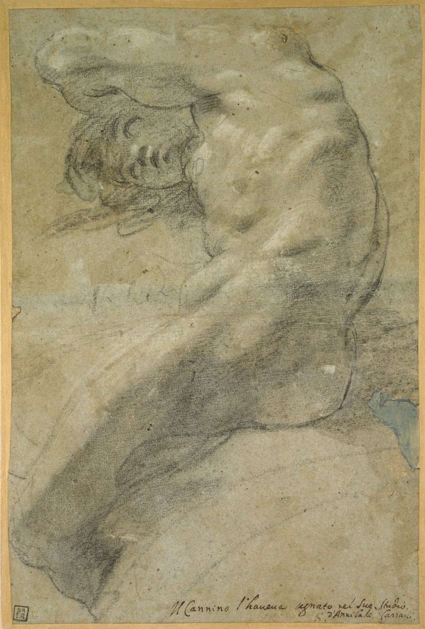 Studie av en naken mann av Annibale Carracci