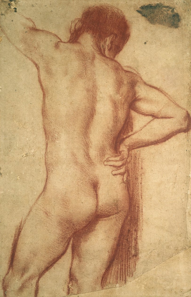 Studie av en naken mann av Annibale Carracci