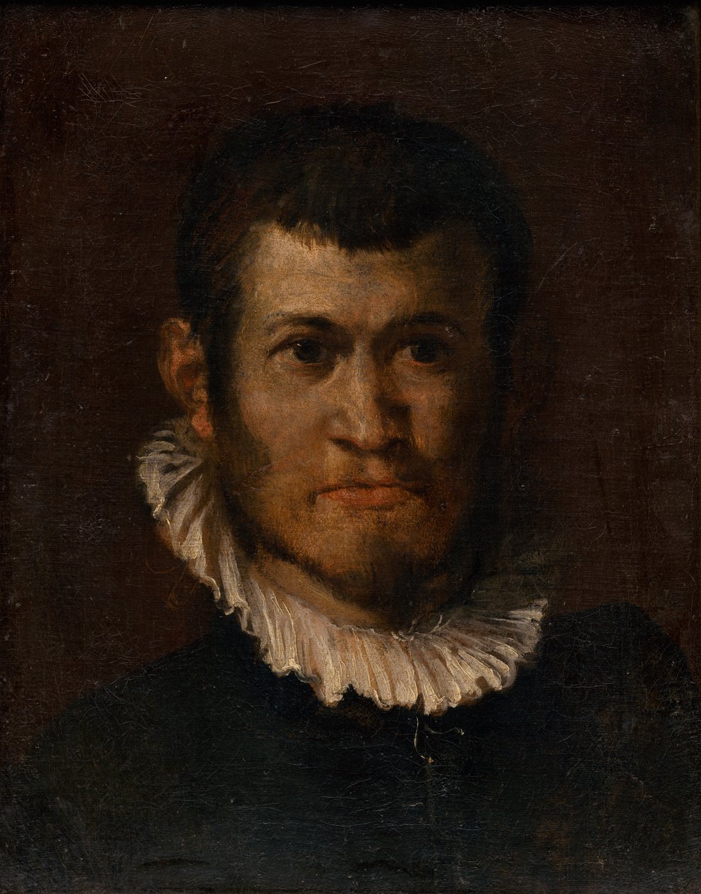 Studie av en manns hode av Annibale Carracci