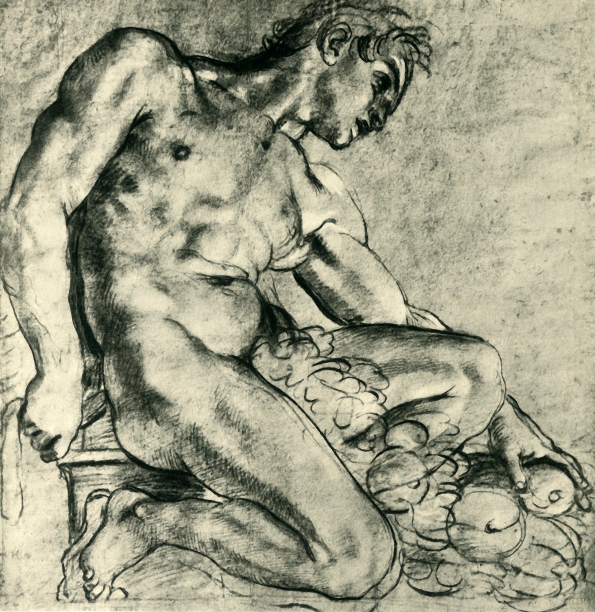 En sittende Ignudo med en krans, 1598-1599, 1943. av Annibale Carracci