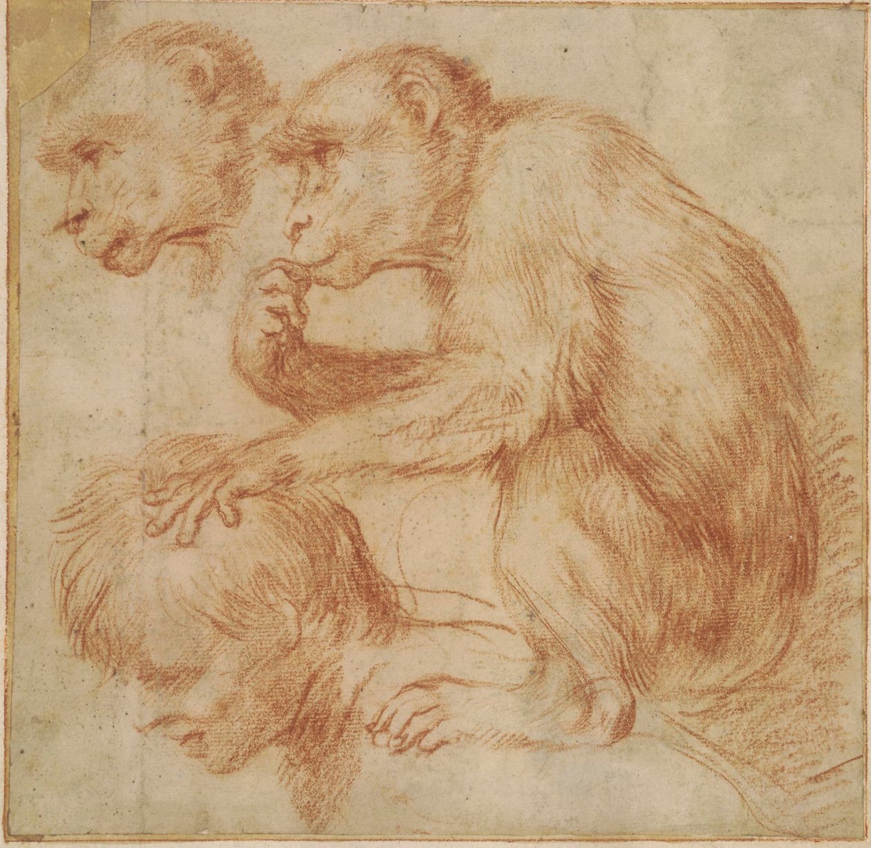  av Annibale Carracci