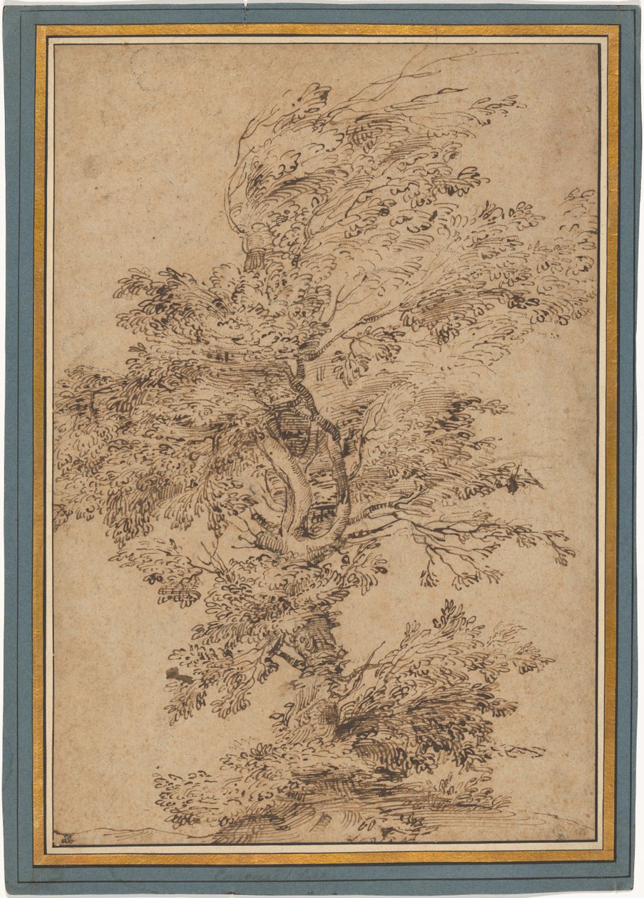 Studie eines Baumes av Annibale Carracci