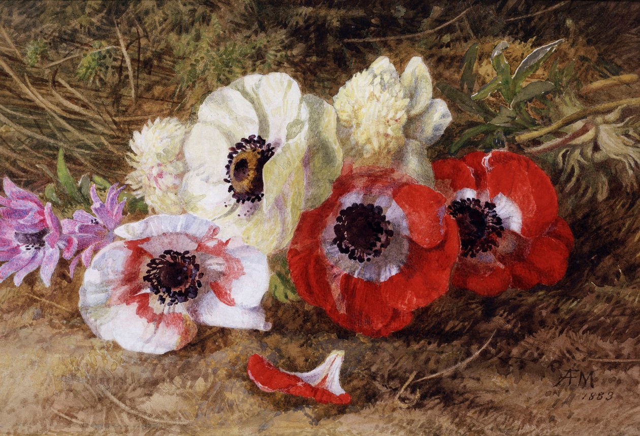 Anemoner av Annie Feray Mutrie