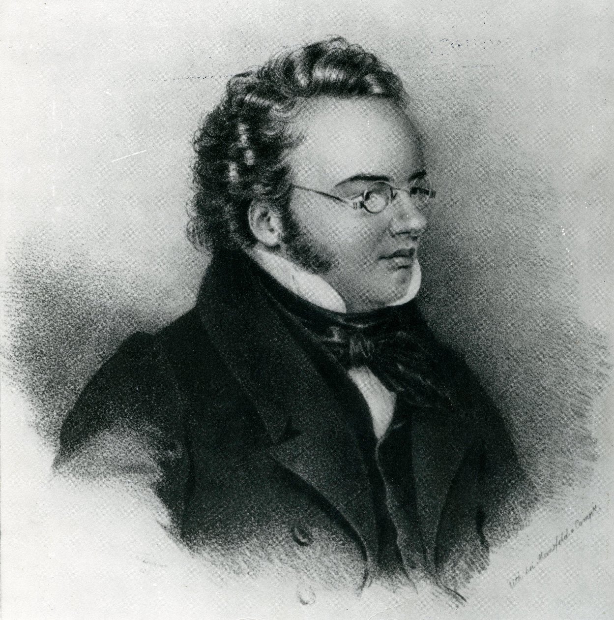Portrett av Franz Schubert (1797-1828) av Unbekannt Unbekannt