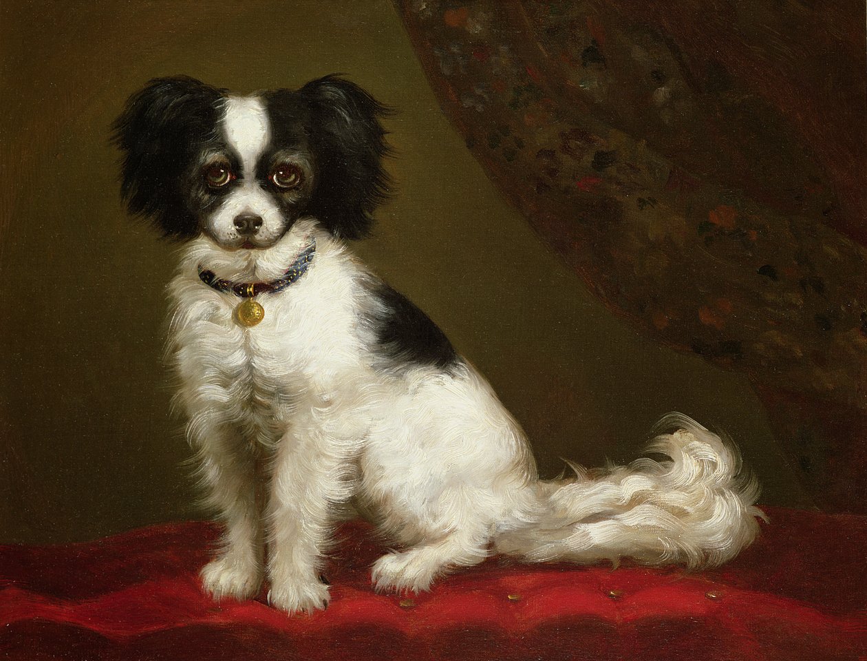 Portrett av en spaniel av Unbekannt Unbekannt