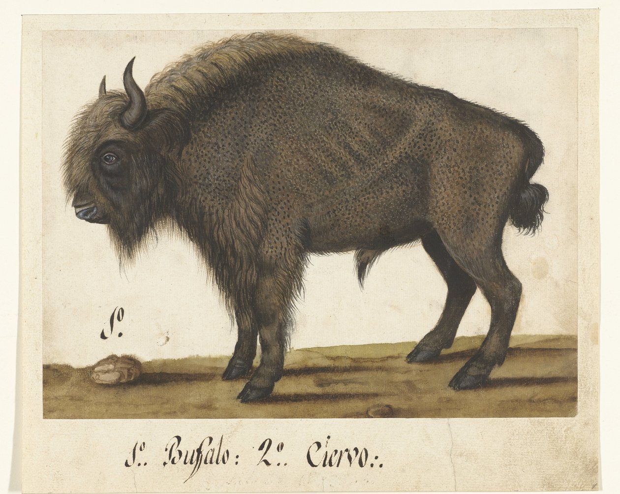 Albumark med en bison Bizon Lombard-album (serietittel) av Anonymous