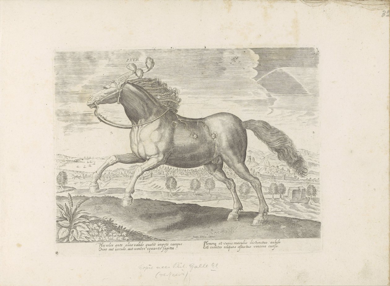 Arabisk paard Bring (tittel på objekt) Paardenrassen uit de Koninklijke stallen van Don Juan van Oostenrijk (serietittel) Hesten, der alle slags adelsmenn: oppførselen til hester skilt fra forskjellige deler av verden valgt (...) (serietittel på objekt) av Anonymous