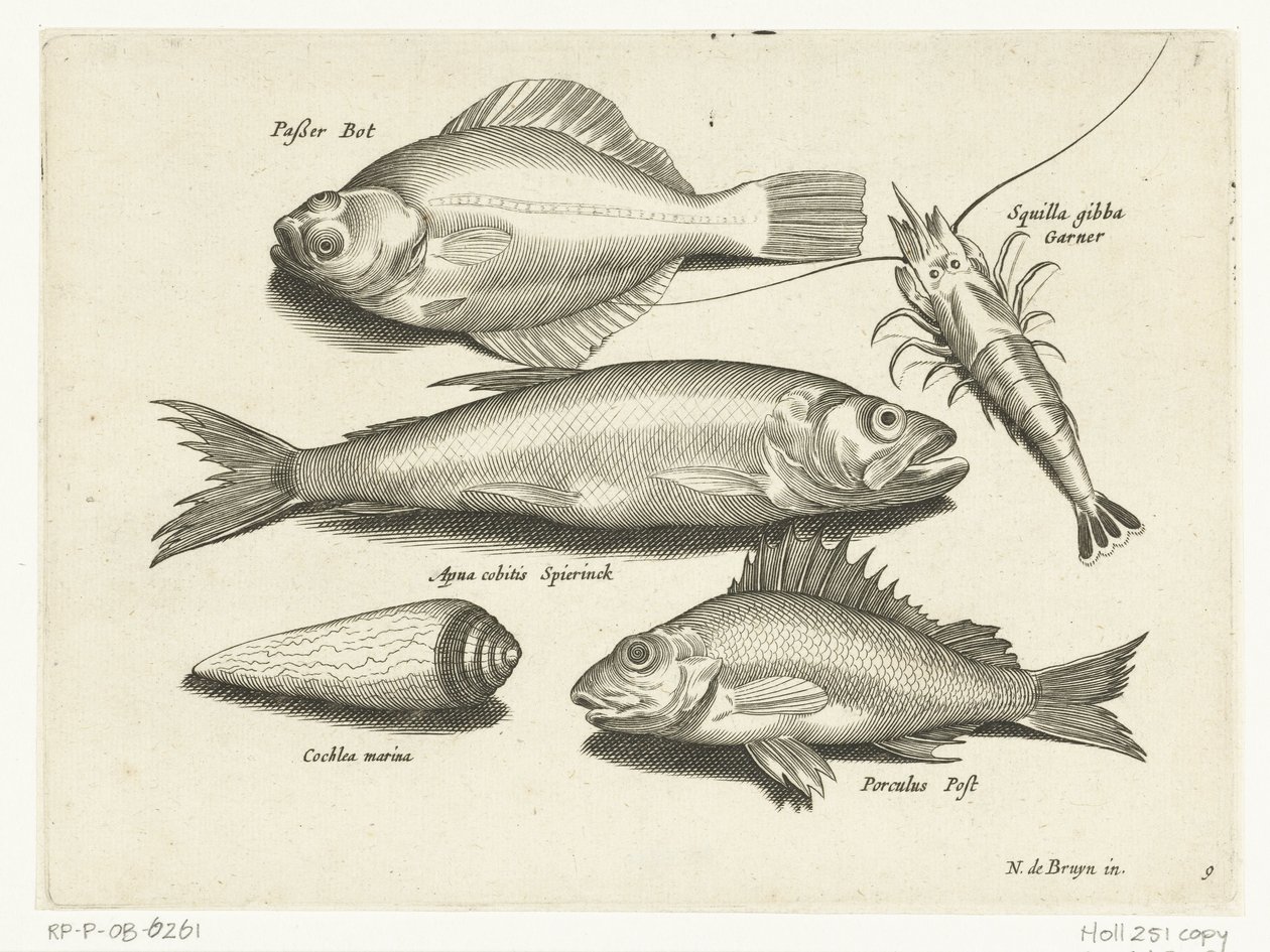 Flyndre, reker, smelte og pos Libelivs diverse Genera piscium complectens (serietittel) Ferskvannsfisk, marin fisk, frosker, krepsdyr og sjødyr (serietittel) av Anonymous