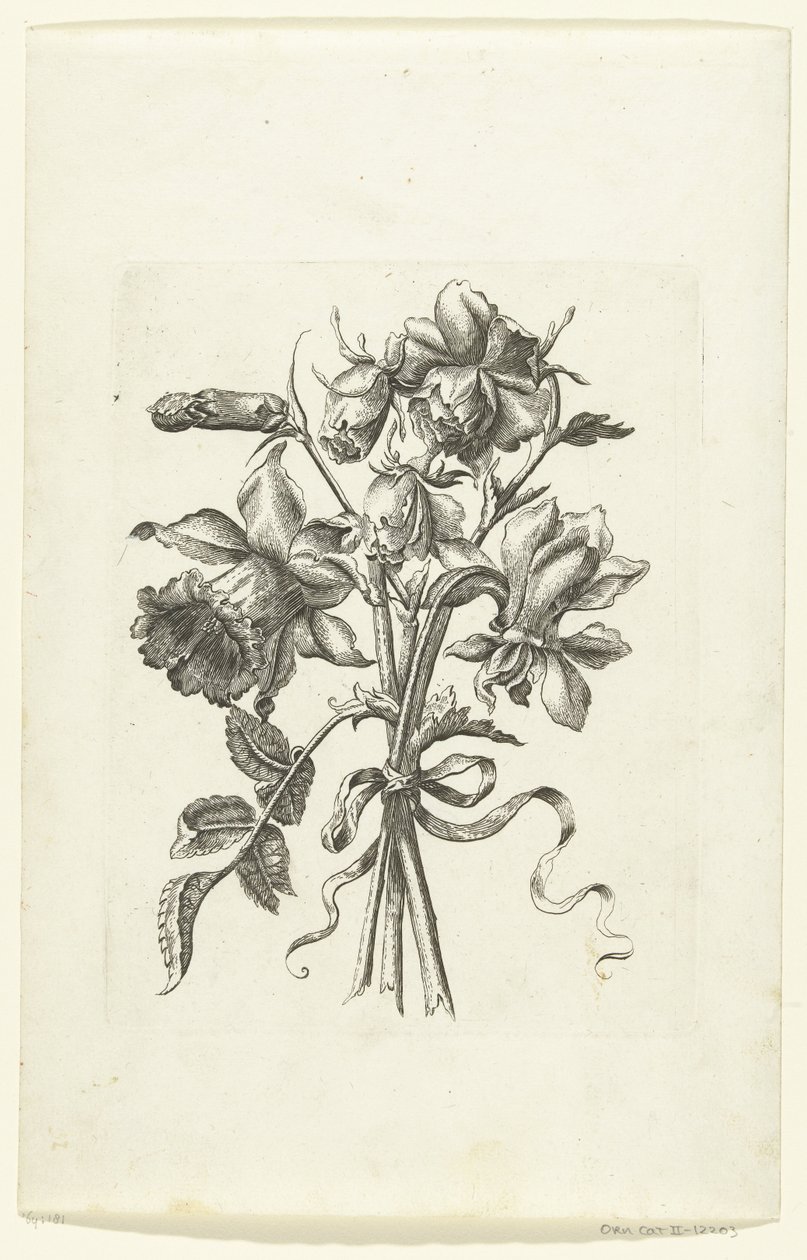 Tre blomster, inkludert en påskelilje og en nellik Novae Florum Icones (serietittel) av Anonymous