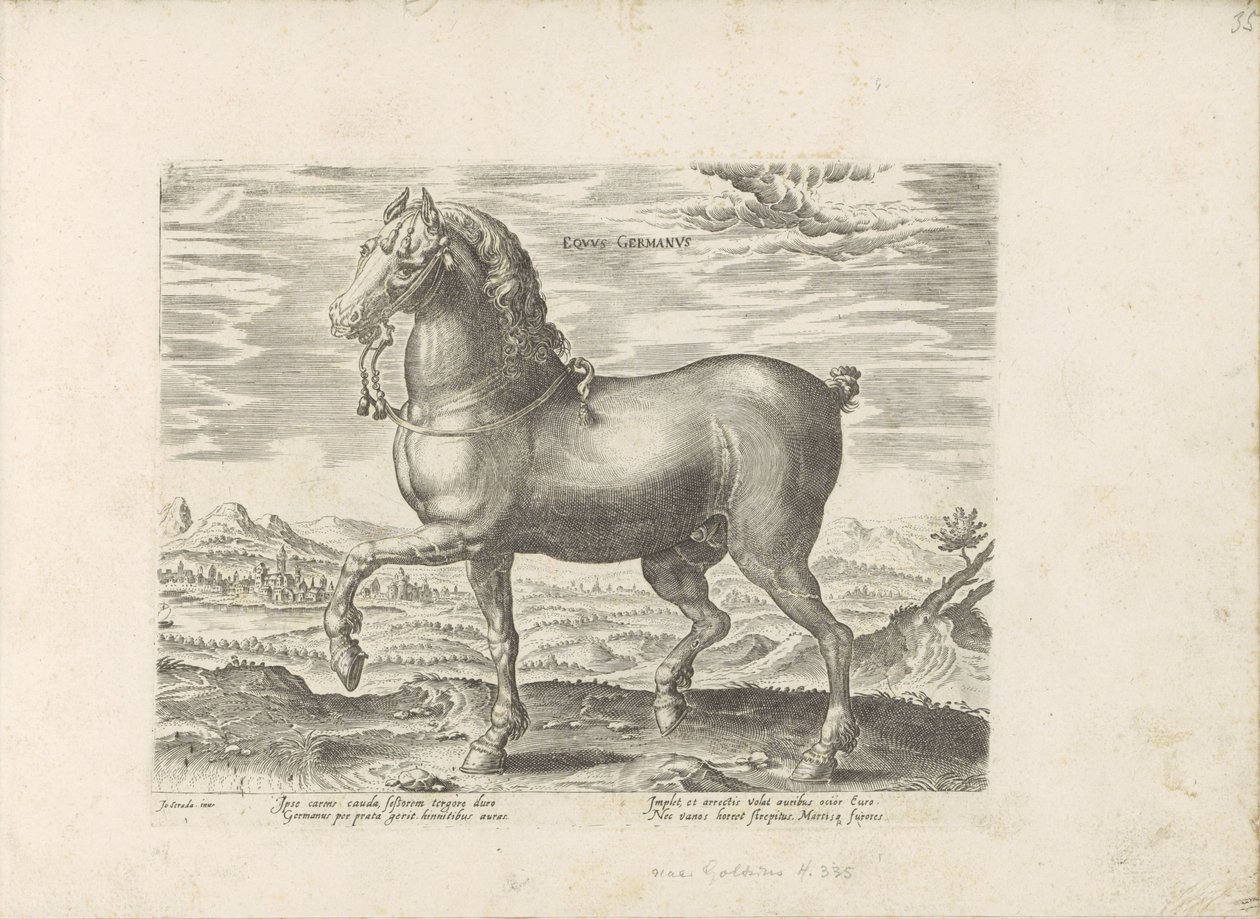 Duits paard Tysk hest (tittel på objekt) Paardenrassen uit de Koninklijke stallen van Don Juan van Oostenrijk (serietittel) Hesten, der alle slags adelsmenn: oppførselen til hester skilt fra forskjellige deler av verden valgt (...) (serietittel på ob av Anonymous