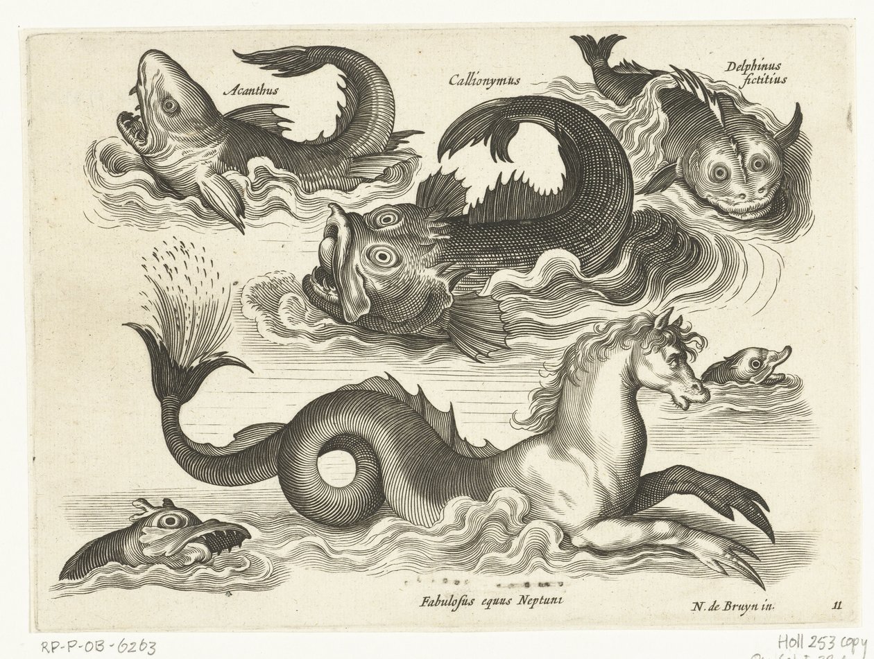 Fantastiske vannlevende dyr, inkludert sjøhest Libelivs diverse Genera piscium complectens (serietittel) Ferskvannsfisk, marin fisk, frosker, krepsdyr og sjødyr (serietittel) av Anonymous