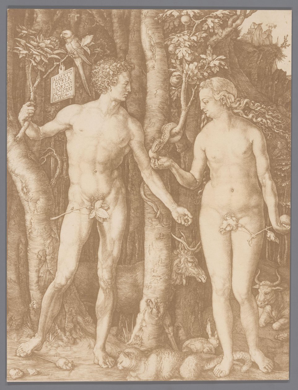 Fotoreproduksjon av graveringen Adam og Eva av Albrecht Dürer av Anonymous