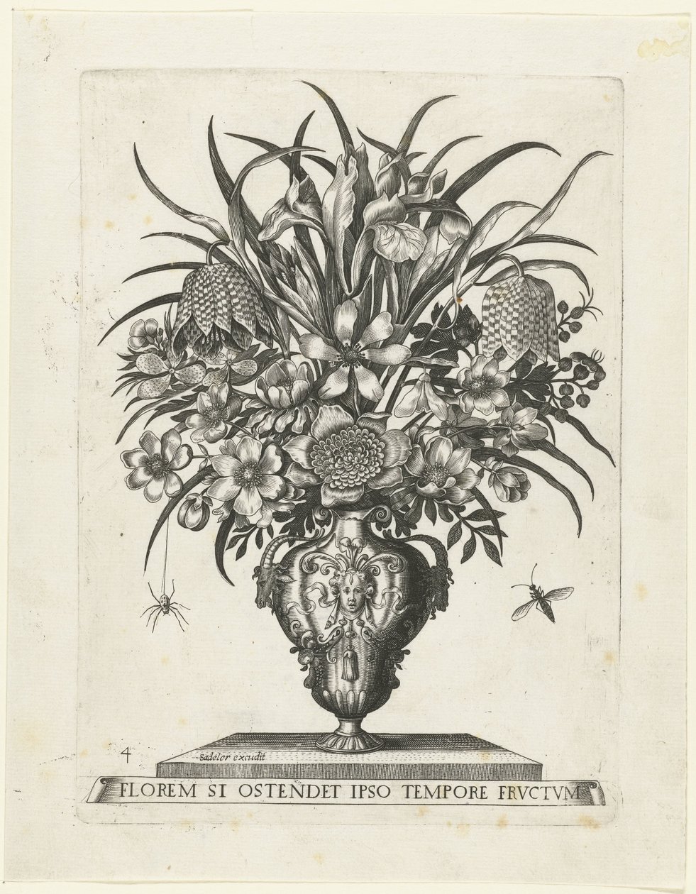 Grotesk vase med to ører i form av geitehoder Vaser med blomster (serietittel) av Anonymous