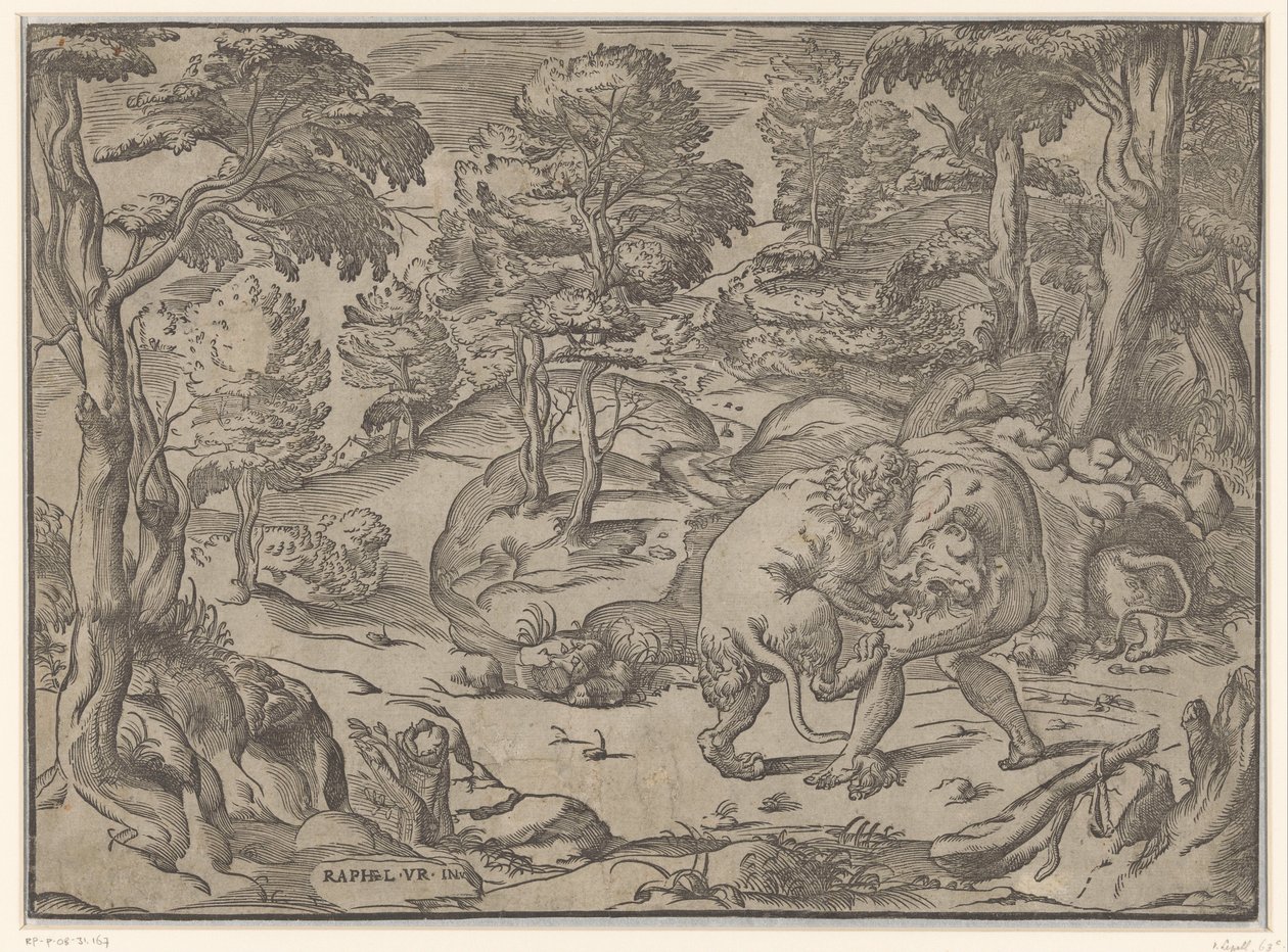 Hercules og Nemean Lion av Anonymous