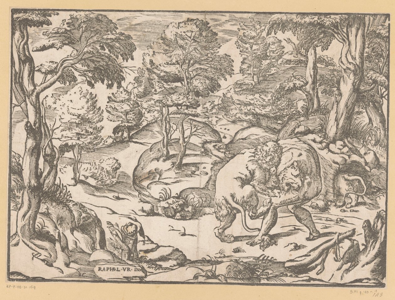 Hercules og Nemean Lion av Anonymous