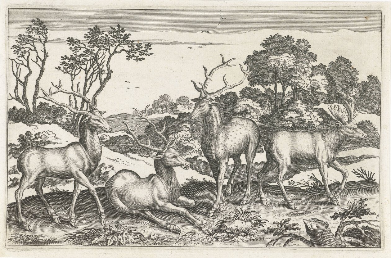 hjort Firebeinte dyr (serietittel) Animalivm Qvaddrvpedvm (serietittel) av Anonymous