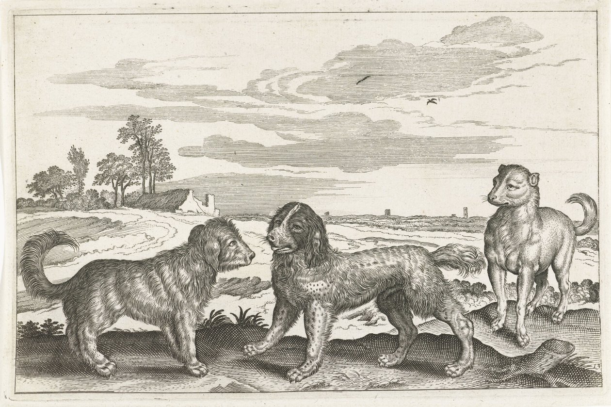 hunder Firebeinte dyr (serietittel) Animalivm Qvaddrvpedvm (serietittel) av Anonymous