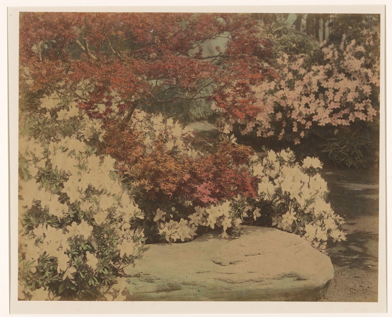 Japansk hage med blomster av Anonymous