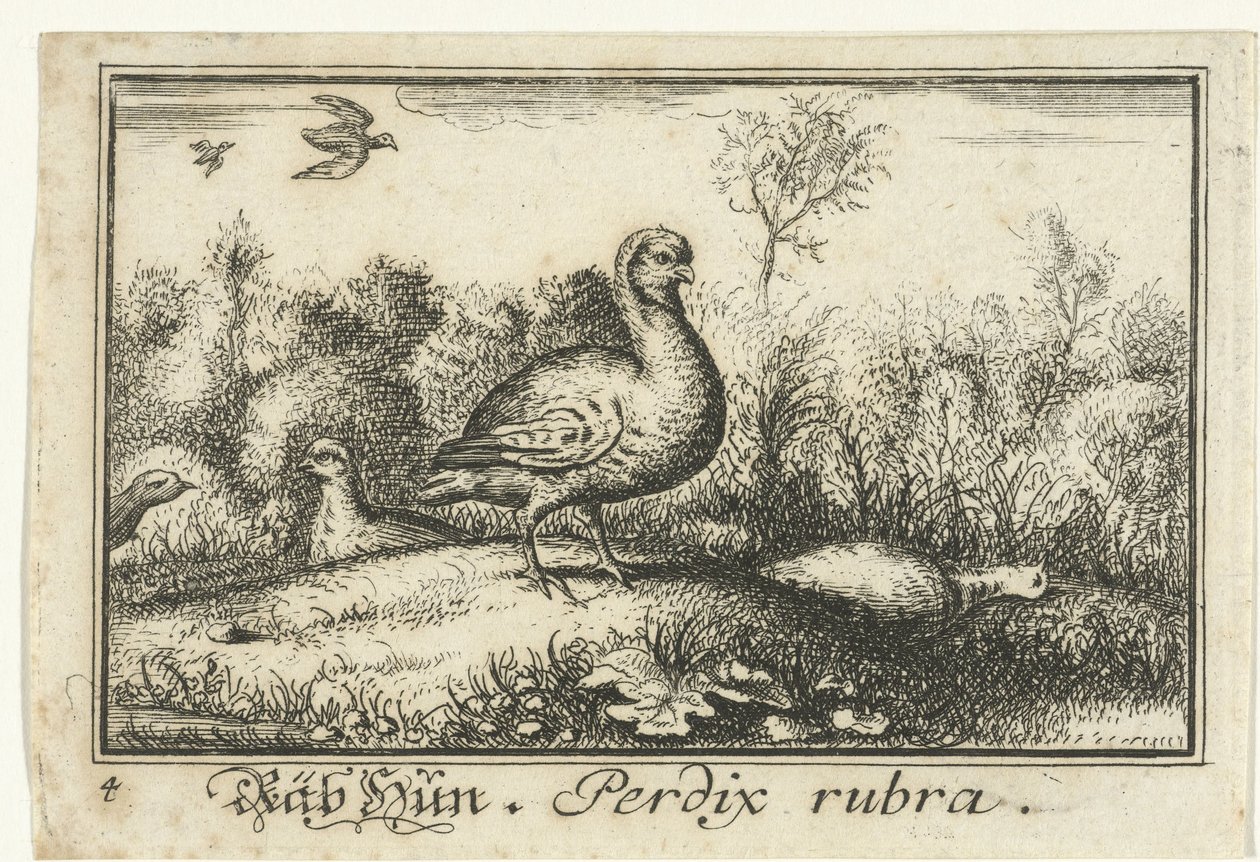 Landskap med rapphøns Rab Hun, Perdix rubra. (tittel på objekt) av Anonymous