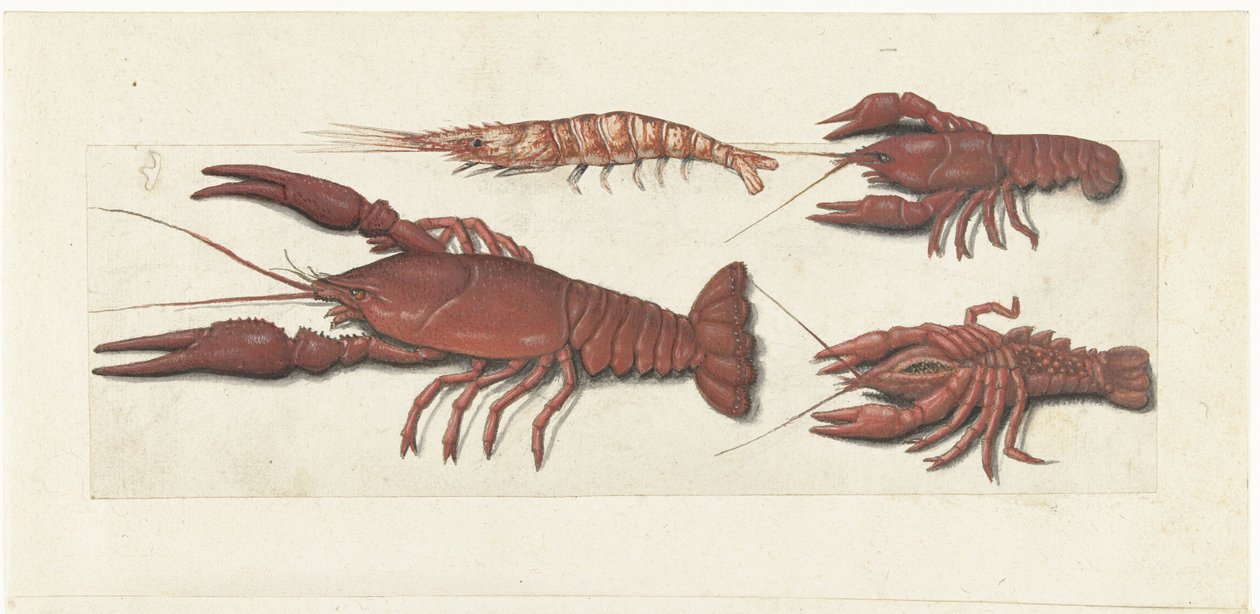 Langoustine, to kreps og reker Lombard-album (serietittel) av Anonymous