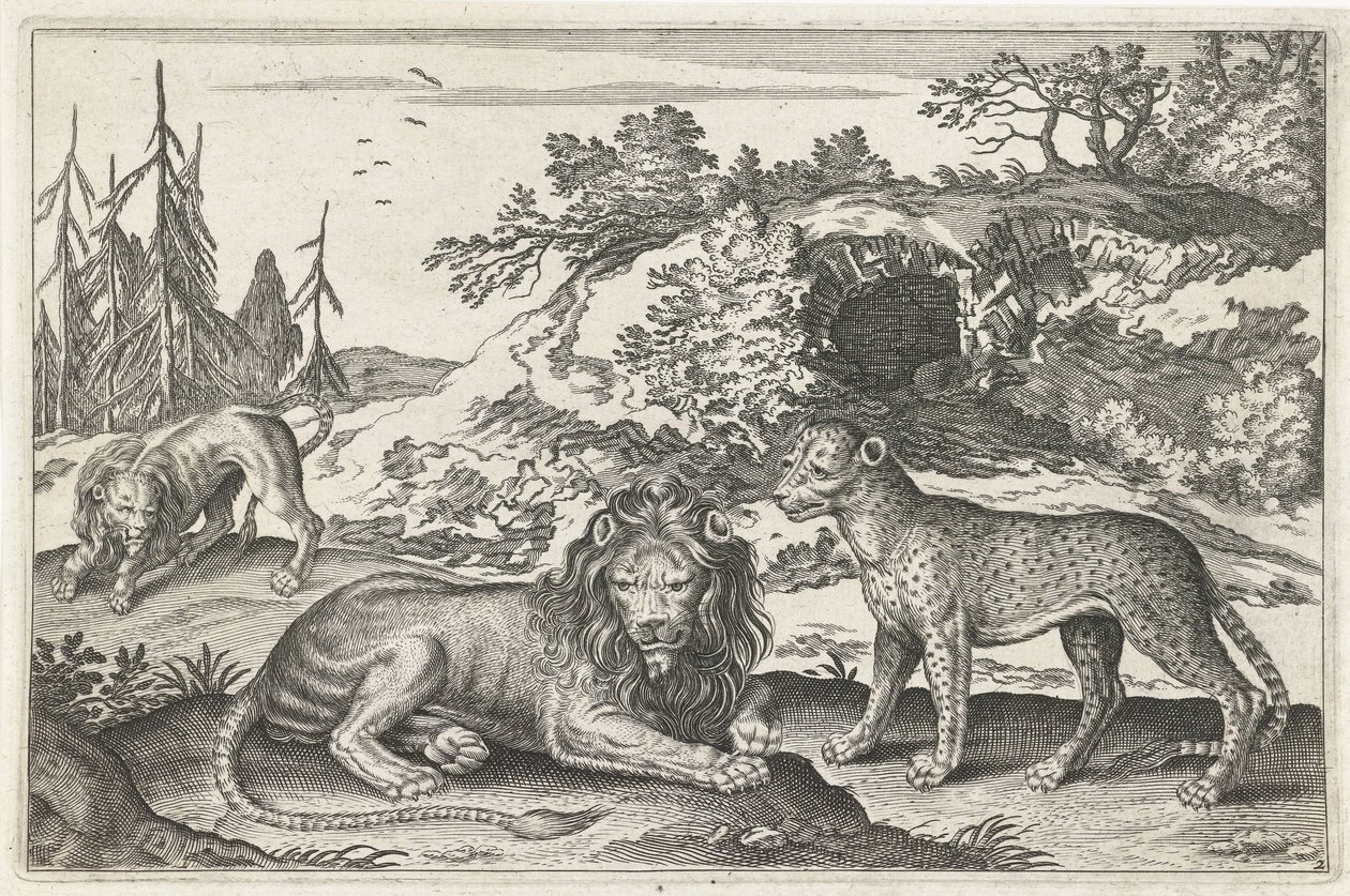 Løver og leopard Firebeinte dyr (serietittel) Animalivm Qvaddrvpedvm (serietittel) av Anonymous