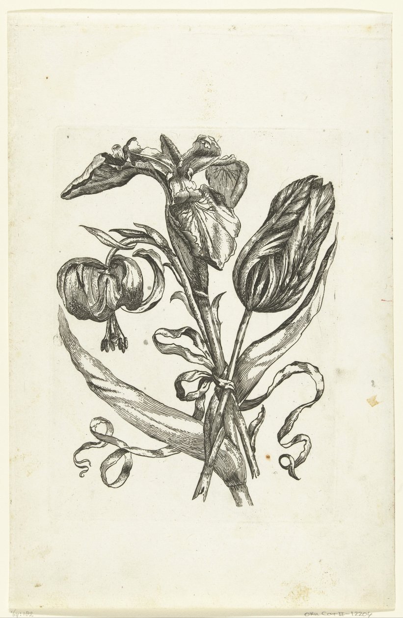 Lelie, iris og tulipan Nye blomsterikoner (serietittel) av Anonymous