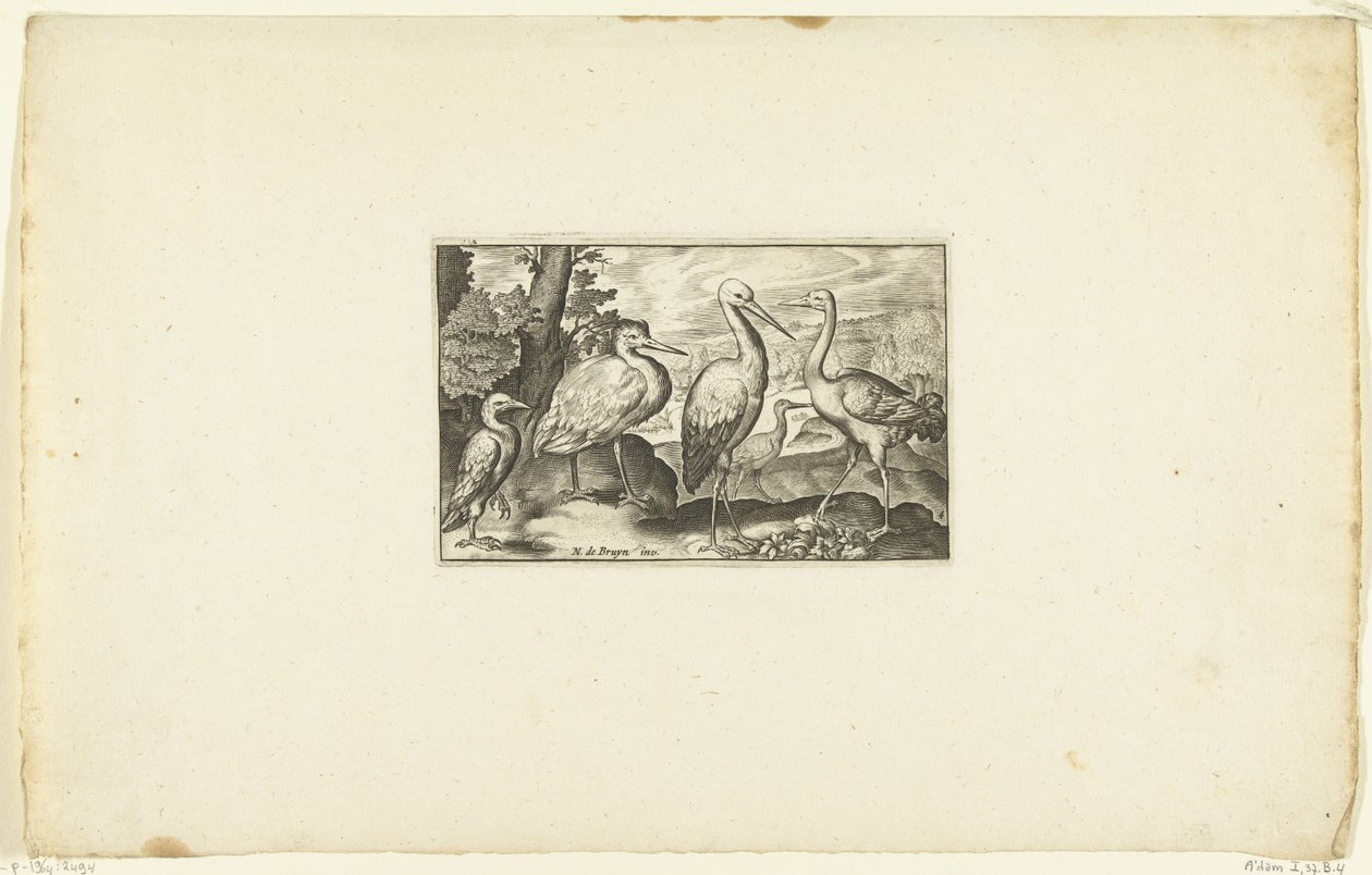 Stork mellom to andre fugler Volatilium varii generis (...) (serietittel) av Anonymous