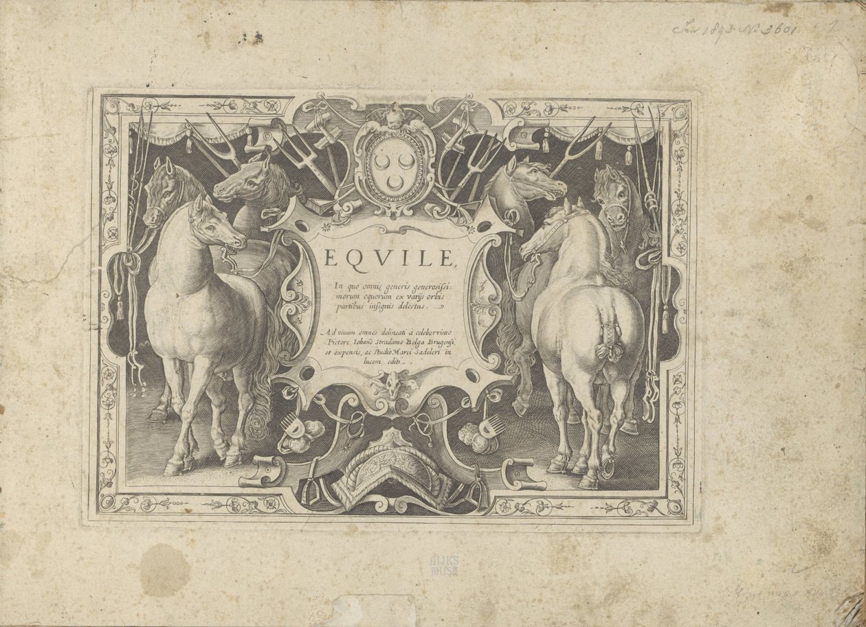 Ornamenteel cartouche met titel geflankeerd door paarden Hesten, der alle slags adelsmenn: oppførselen til hester skilt fra forskjellige deler av verden valgt (...) (serietittel på objekt) av Anonymous