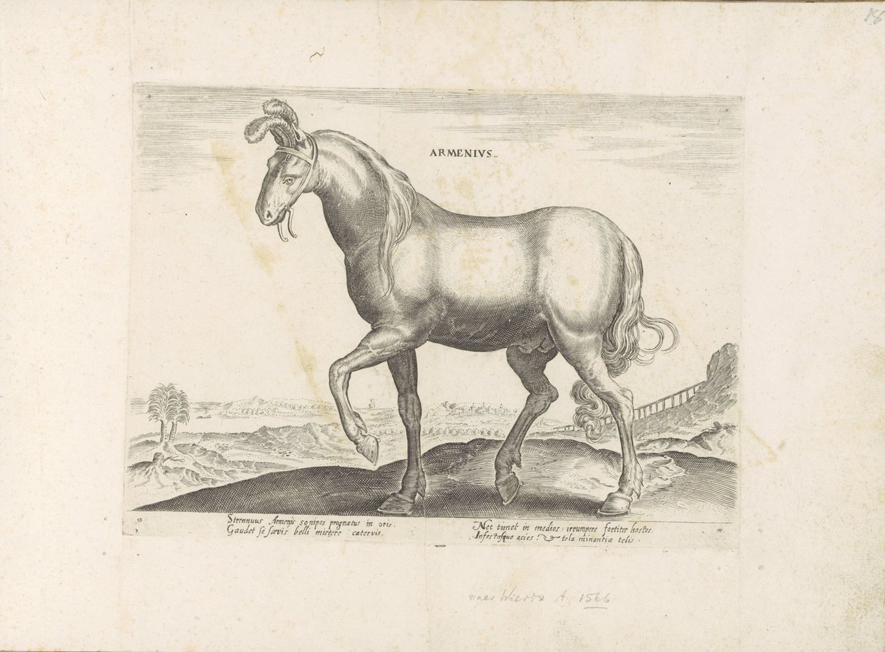 Paard uit Armenië Armenius (tittel på objekt) Paardenrassen uit de Koninklijke stallen van Don Juan van Oostenrijk (serietittel) Hesten, der alle slags adelsmenn: oppførselen til hester skilt fra forskjellige deler av verden valgt (...) (serietittel på ob av Anonymous