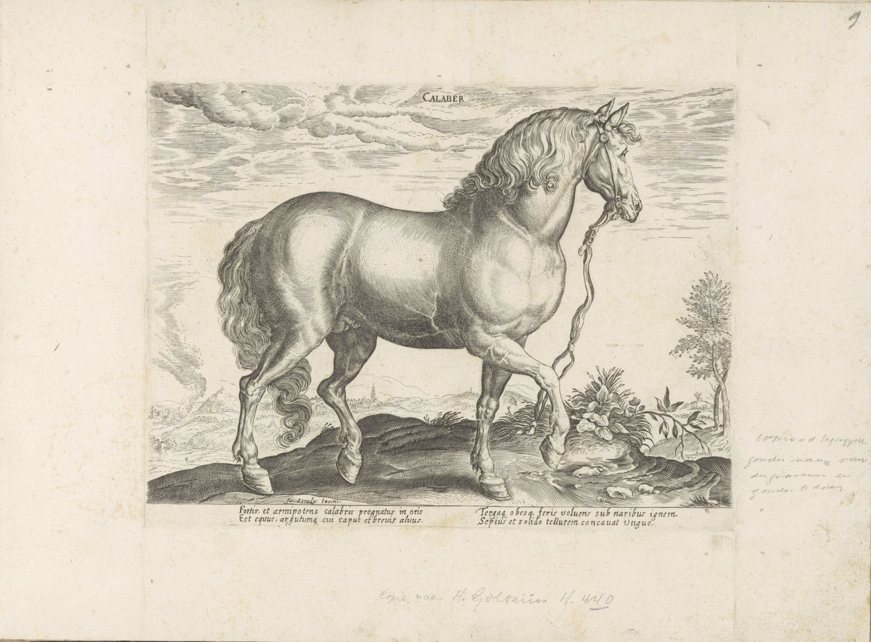 Paard ut Calabria Calabar (tittel på objekt) Paardenrassen uit de Koninklijke stallen van Don Juan van Oostenrijk (serietittel) Hesten, der alle slags adelsmenn: oppførselen til hester skilt fra forskjellige deler av verden valgt (...) (serietittel på ob av Anonymous