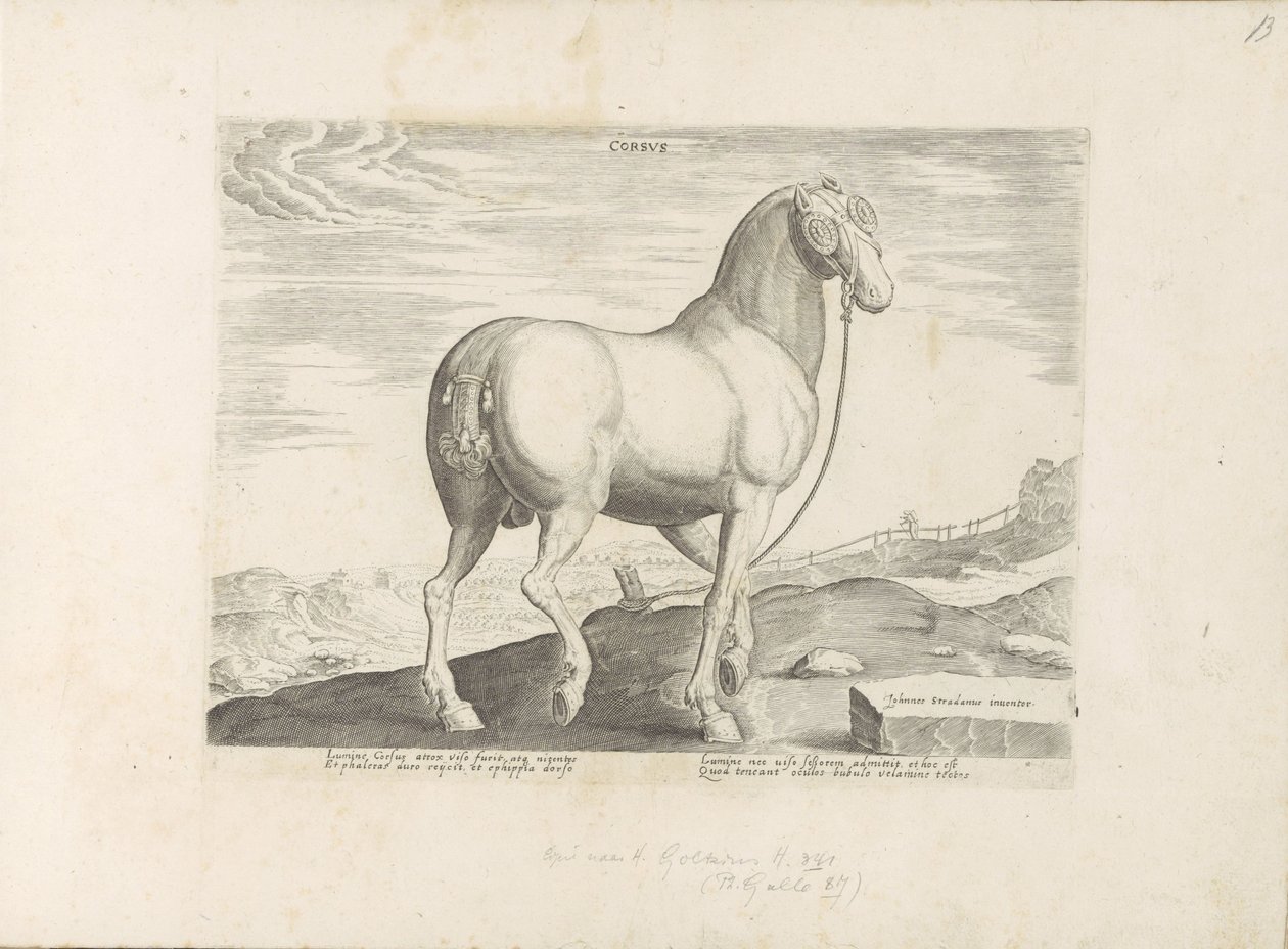 En hest fra Korsika Hjerte (tittel på objekt) Paardenrassen uit de Koninklijke stallen van Don Juan van Oostenrijk (serietittel) Hesten, der alle slags adelsmenn: oppførselen til hester skilt fra forskjellige deler av verden valgt (...) (serietittel på obj av Anonymous