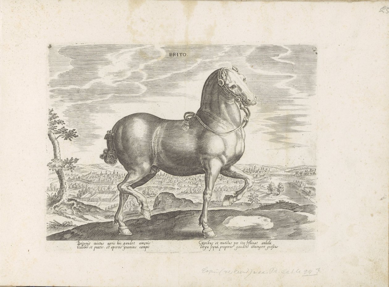 Paard uit Engeland Brito (tittel på objekt) Paardenrassen uit de Koninklijke stallen van Don Juan van Oostenrijk (serietittel) Hesten, der alle slags adelsmenn: oppførselen til hester skilt fra forskjellige deler av verden valgt (...) (serietittel på obje av Anonymous