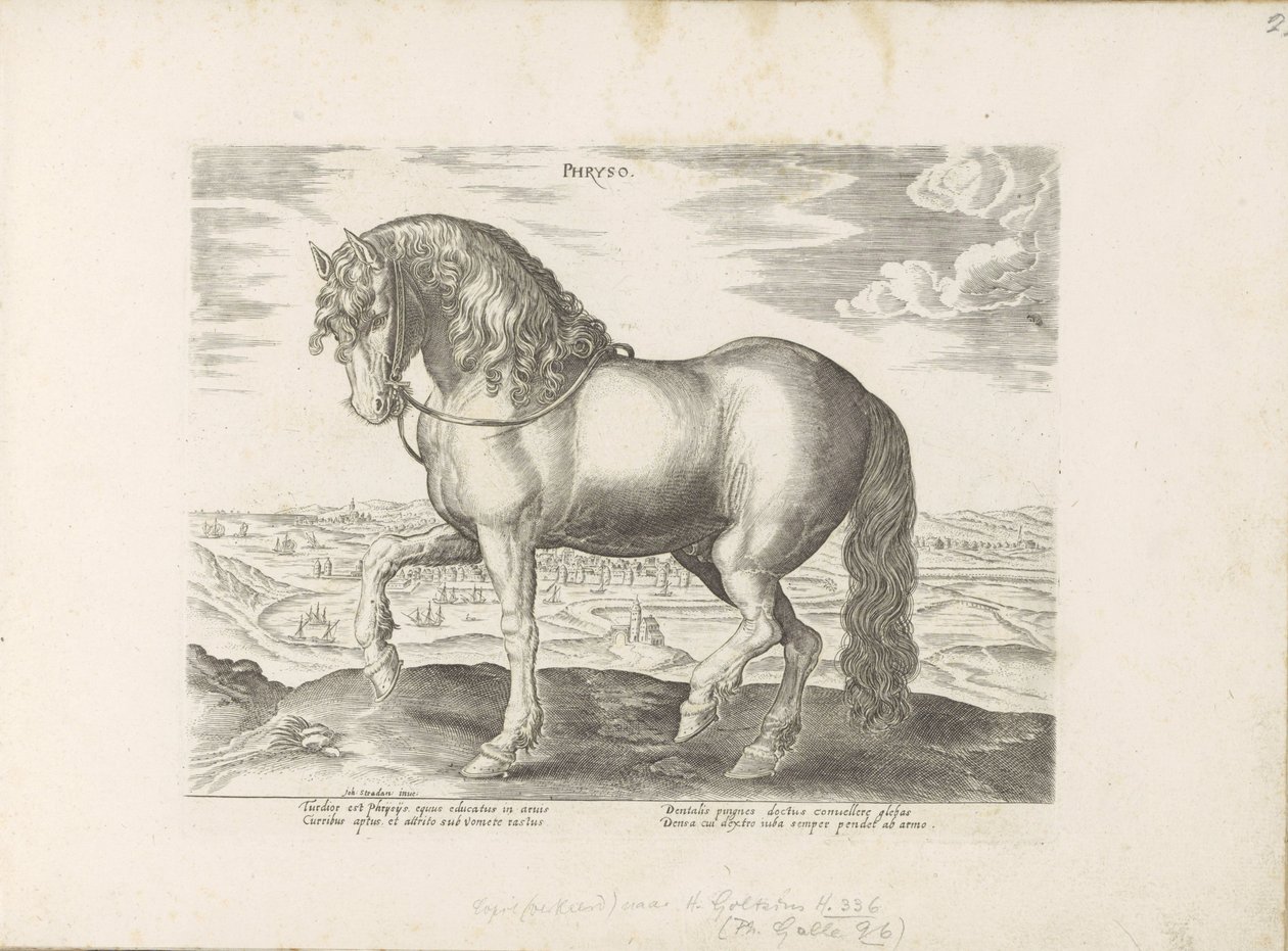 Paard uit Friesland Phryso (tittel på objekt) Paardenrassen uit de Koninklijke stallen van Don Juan van Oostenrijk (serietittel) Hesten, der alle slags adelsmenn: oppførselen til hester skilt fra forskjellige deler av verden valgt (...) (serietittel på ob av Anonymous