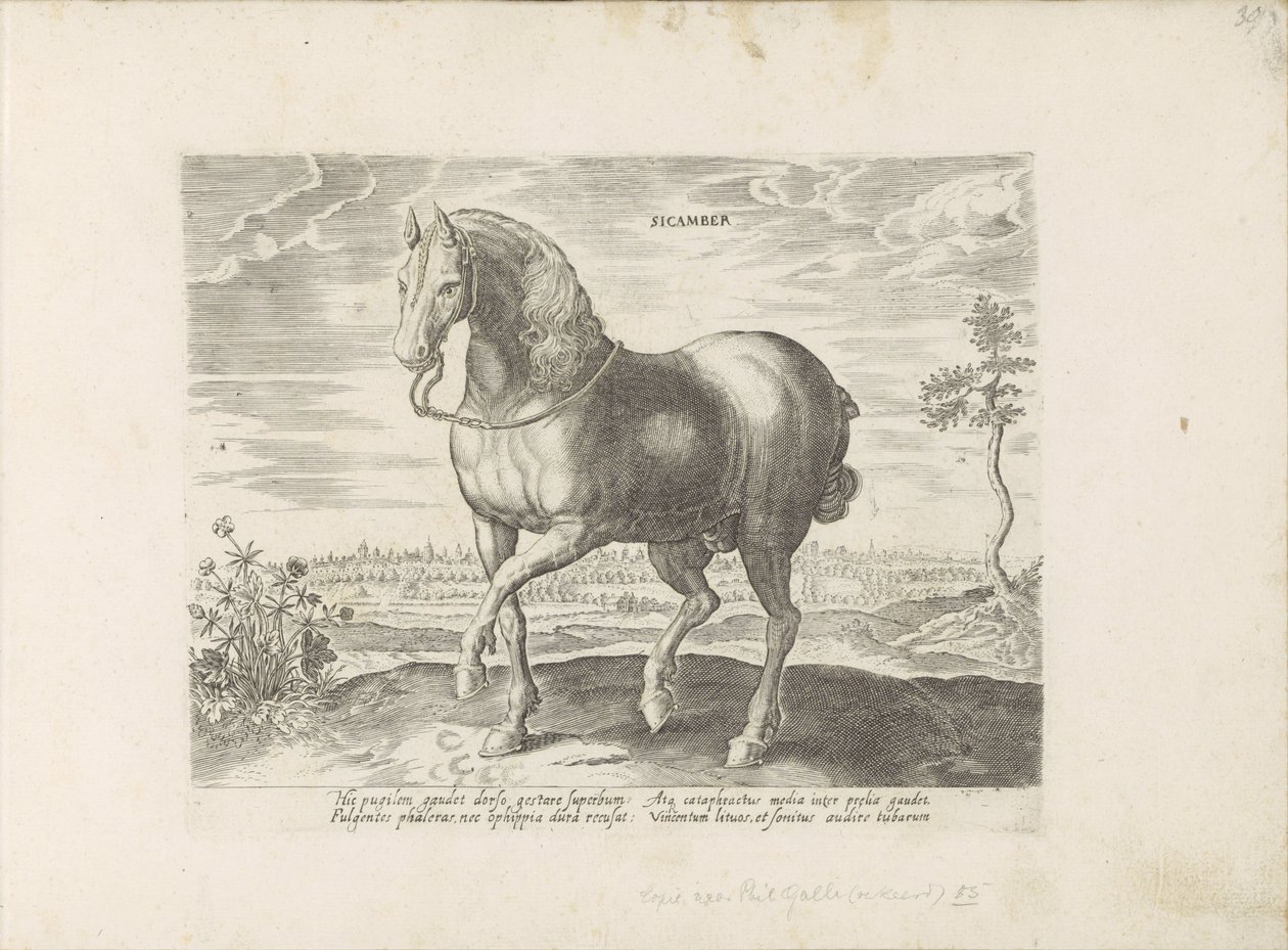 Paard uit Gelre Sicamber (tittel på objekt) Paardenrassen uit de Koninklijke stallen van Don Juan van Oostenrijk (serietittel) Hesten, der alle slags adelsmenn: oppførselen til hester skilt fra forskjellige deler av verden valgt (...) (serietittel på obje av Anonymous