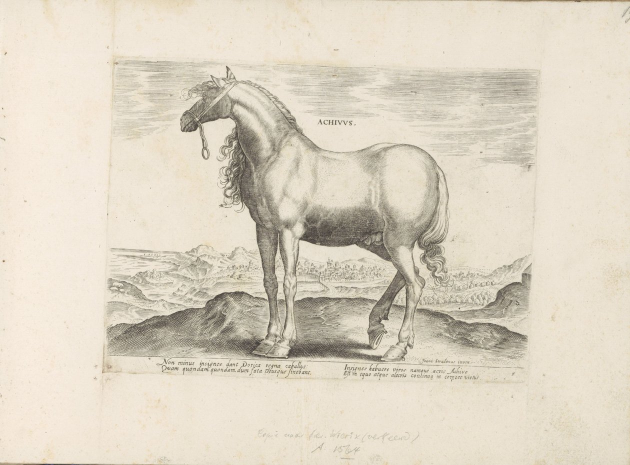 Paard fra Hellas Achivus (tittel på objekt) Paardenrassen uit de Koninklijke stallen van Don Juan van Oostenrijk (serietittel) Hesten, der alle slags adelsmenn: oppførselen til hester skilt fra ulike deler av verden valgt (...) (serietittel på av Anonymous