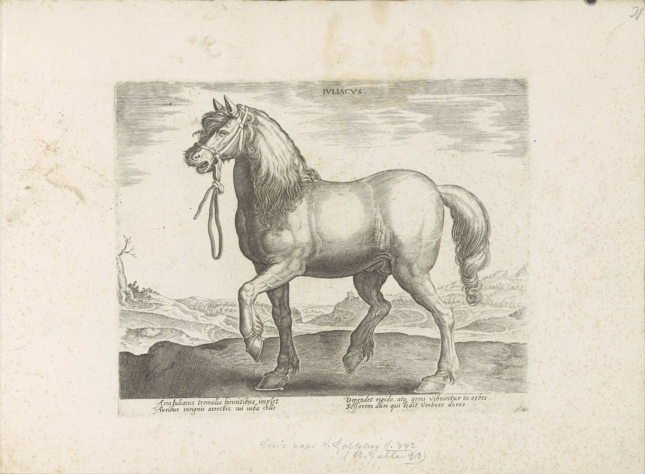 Paard uit Gulik (Juliacus) Julia (tittel på objekt) Paardenrassen uit de Koninklijke stallen van Don Juan van Oostenrijk (serietittel) Hesten, der alle slags adelsmenn: valgt fra forskjellige deler av verden kjennetegnet ved oppførselen til hester (...) (s av Anonymous