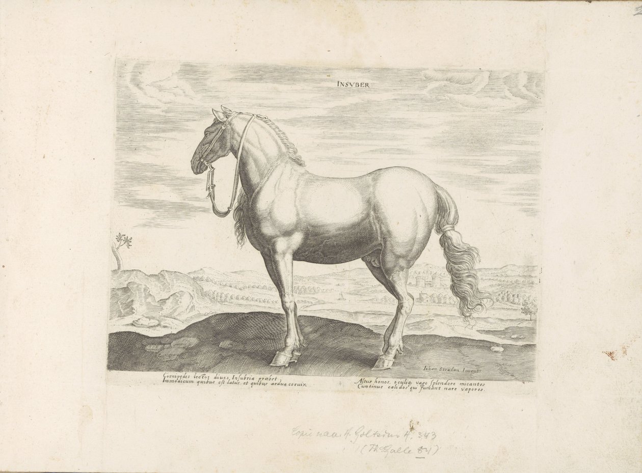 Paard ut Noord-Italia Insuber (tittel på objekt) Paardenrassen uit de Koninklijke stallen van Don Juan van Oostenrijk (serietittel) Hesten, der alle slags adelsmenn: oppførselen til hester skilt fra forskjellige deler av verden valgt (...) (serietittel o av Anonymous