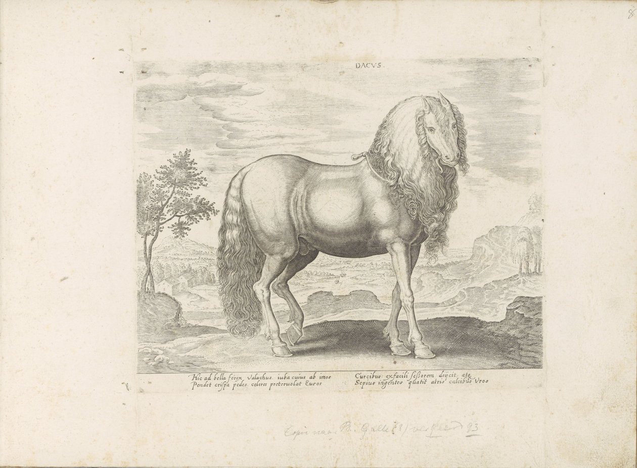 Paard uit Roemenië (nederlandsk) Dacus (tittel på objekt) Paardenrassen uit de Koninklijke stallen van Don Juan van Oostenrijk (serietittel) Hesten, der alle slags adelsmenn: oppførselen til hester skilt fra forskjellige deler av verden valgt (...) (seriet av Anonymous